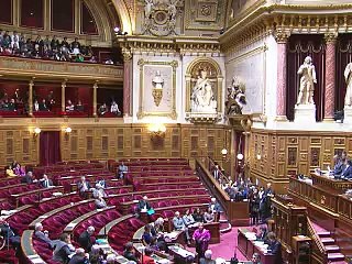 Le mariage gay franchit l'obstacle du Sénat plus facilement que prévu