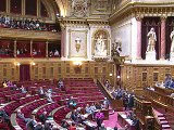 Le mariage gay franchit l'obstacle du Sénat plus facilement que prévu