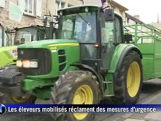 Agriculture: plus de 15.000 éleveurs dans la rue pour des mesures d'urgence