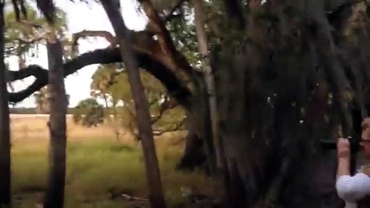 "Skunk Ape"