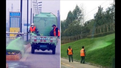 Chine : de la peinture fluo pour rendre l'herbe plus verte