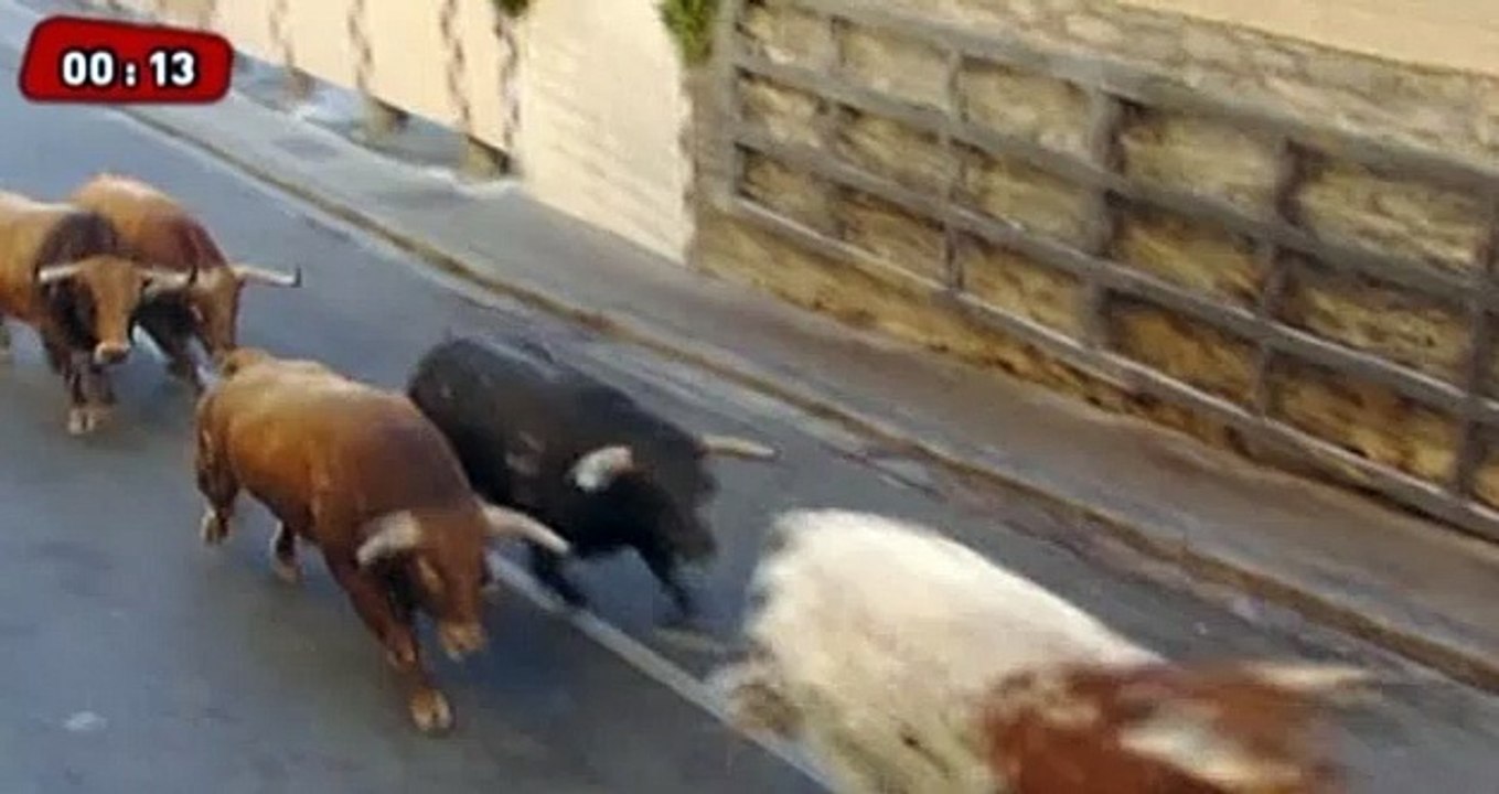 Premier lâcher de taureaux, olé!