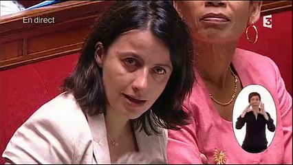 Les larmes de Cécile Duflot à l'Assemblée nationale
