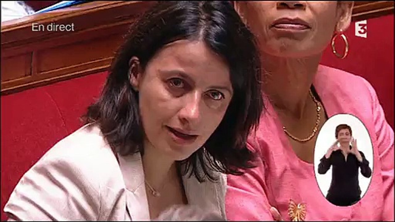 Les larmes de Cécile Duflot à l'Assemblée nationale