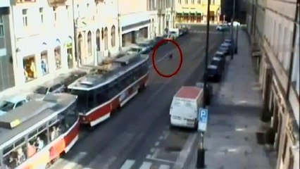 Un sanglier sauvage affole les rues de Prague