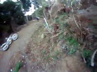 Un bélier charge une moto