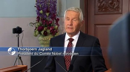 L'OIAC, lauréate du Prix Nobel de la Paix 2013