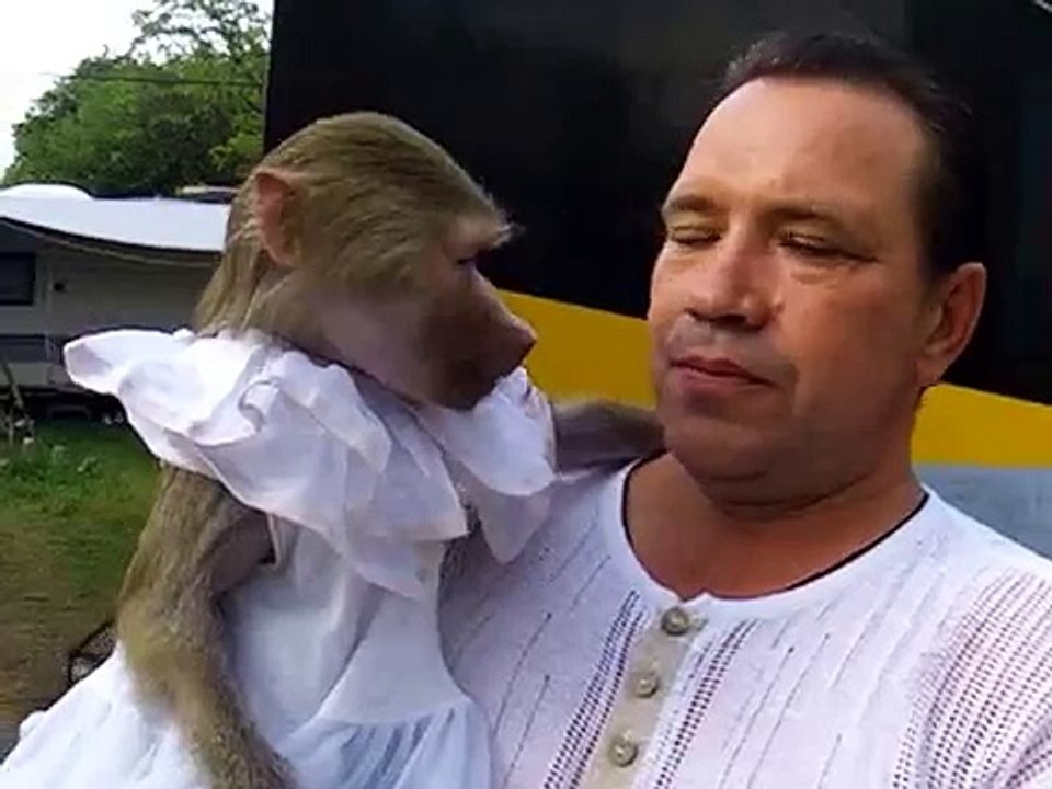 Un singe imite son maître