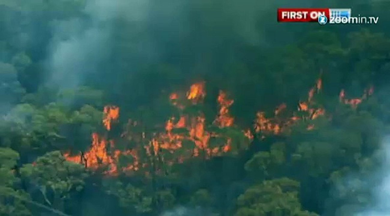 Un feu de forêt menace la banlieue de Sydney