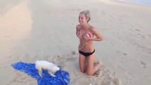 Kızın bikinisini çıkartmaya çalışan köpek ☆ Komedi ve Eğlence izle (video)  ツ