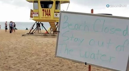 Hawaï : nouvelle attaque mortelle de requin