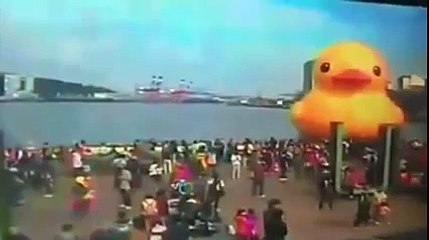 Le canard géant explose à Taiwan