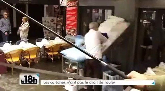 Bientôt le retour des calèches à Bruxelles ?