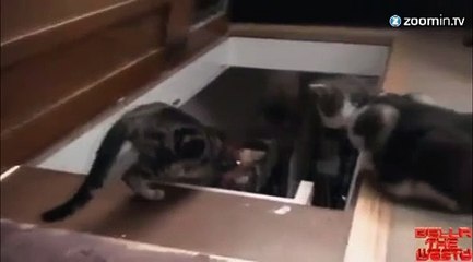 Descendre les escaliers, ça s'apprend !