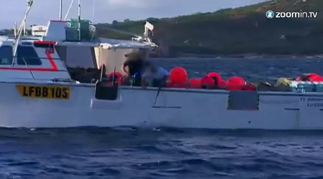 Australie : la chasse aux requins est ouverte