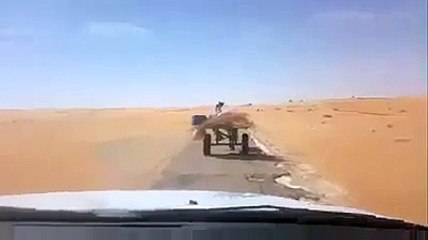 Un chien conduit un âne