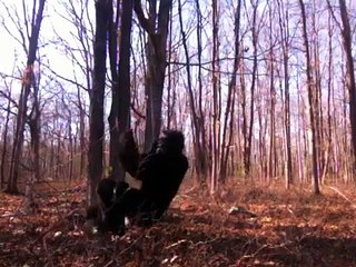 REAL BIGFOOT FOOTAGE FROM TEXAS