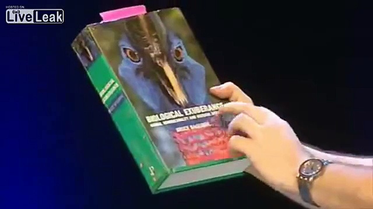 Ricky Gervais - Gay Animals