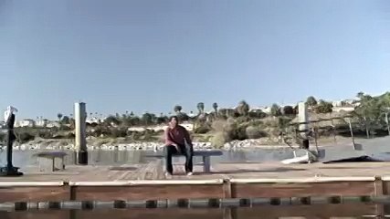 Shark Attack at man arm Animal Videos