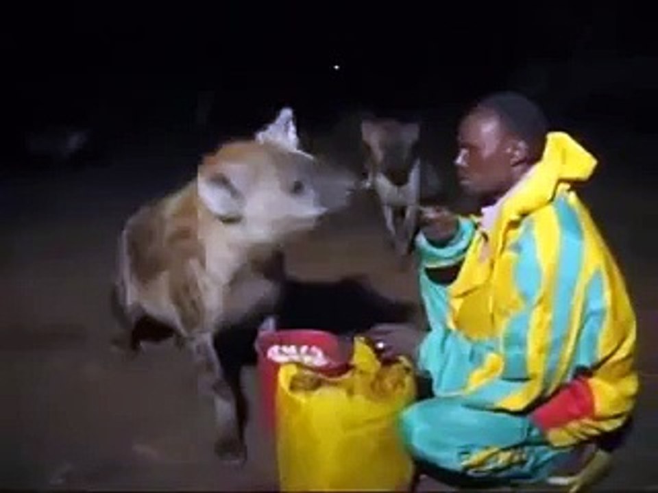 SO BRAVE MAN Animal Videos