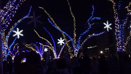 大阪・中之島ライティング 2014/12/23