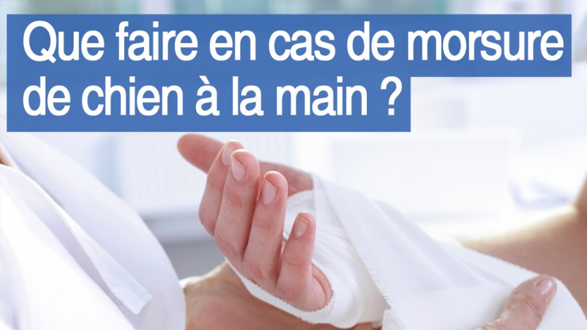 Morsures De Chien Sur La Main — free download