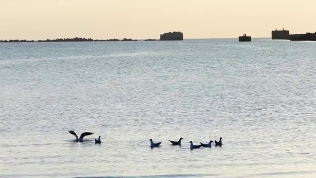 Лиепая. Закат,штиль,сентябрь.