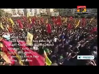 Syed Raza Abbas Shah - Labaek Labaek Ya Zahra - Muharram 2015