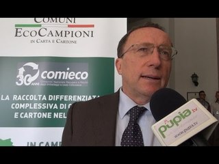Campania - Ambiente, Bonavitacola: "Il Comieco validissimo alleato della Regione" (28.09.15)