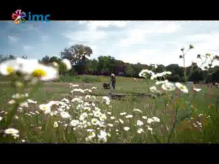 5 bin metrekarelik Van Gogh tablosu