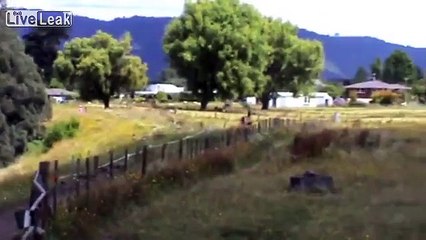 How to round up your horses and load into a trailer