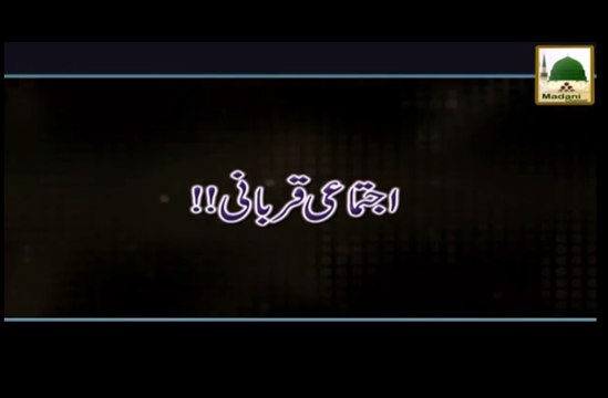 Ijtimai Qurbani - Ahkam-e-Tijarat