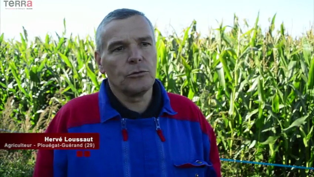 TerraWebTV_Optimiser ses dates d'ensilage de maïs