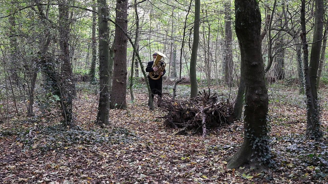 L'Orchestre au naturel - André Gilbert