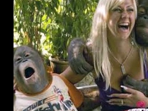 monkeys doing funny things with girls