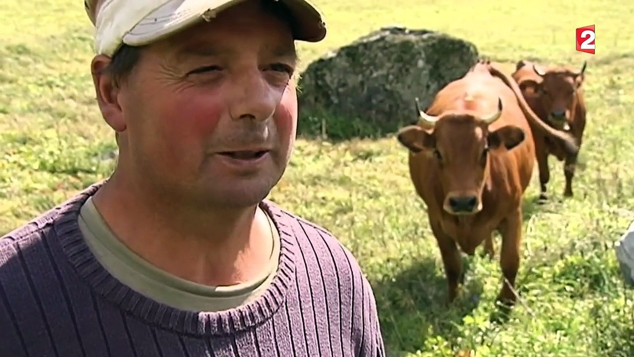 Vers une réduction du parc de la Vanoise