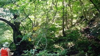 Hiking IN a River (In Japan)