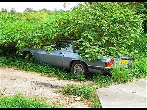 WARNING!!! Estes carros abandonados vão deixar-te com a lágrima no canto do olho...