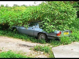 WARNING!!! Estes carros abandonados vão deixar-te  com a lágrima no canto do olho...