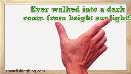 Hollis M1 Frameless Dive Mask Review