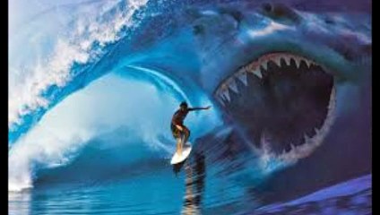 Biggest shark in the  world ever caught