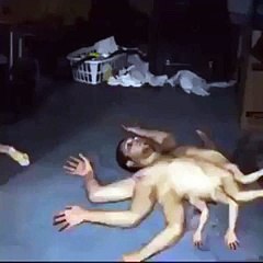 OMG !!! what is this