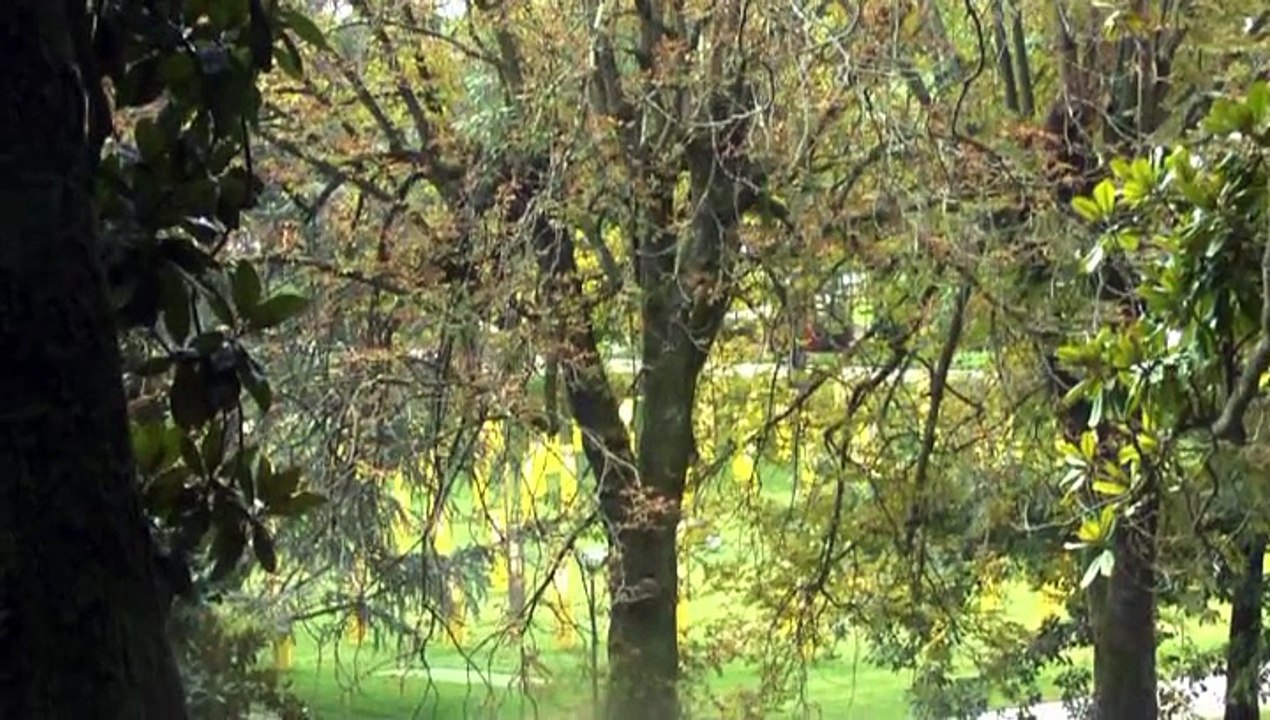 LES W-D.D. MICHOU NEWS - PAU - 27 SEPTEMBRE 20125 - LA WIFI GRATUITE AU MÉMORIAL DU TOUR DES GÉANTS.