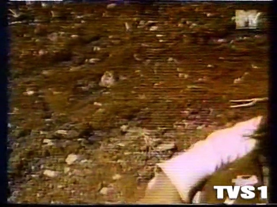 TANITA TIKARAM "Twist in my sobriety"