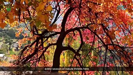 The  Beauty of  Gilgit Baltistan| Enjoy