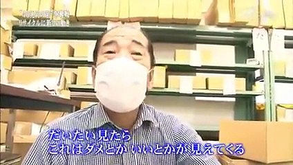 着物の買い付け方法　【新たなリサイクルがやって来た！】9月29日_11281812cafc_mobile