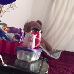 Hidden camera reveals French Bulldog's love for Nutella