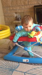 Baby boy captivated by pug puppy