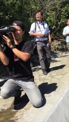 Heartbreaking footage shows 'hunted' dolphin pleading for help