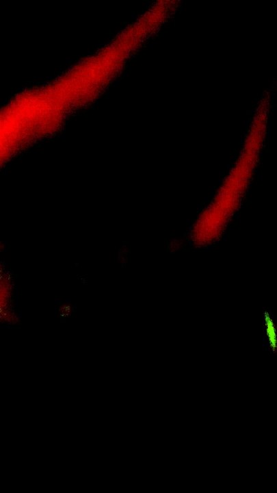 VIDEO0002.mp4